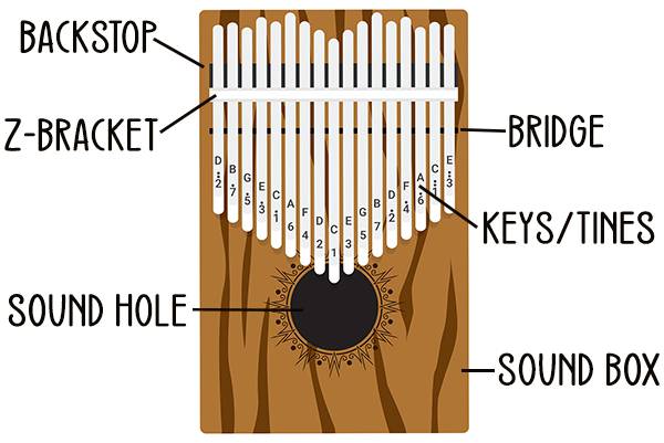 learning to play kalimba. what do the brackets mean? there are a