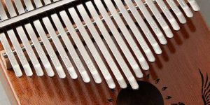 Kalimba Buyer’s Guide Kalimba Dream Kalimba Buyer’s Guide Kalimba Dream